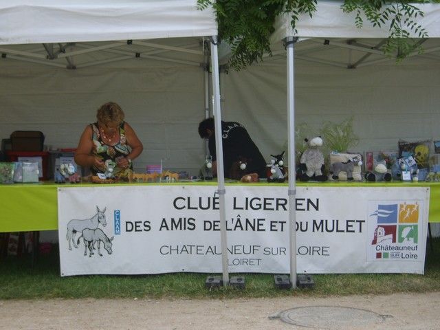 fete 2016 (60).jpg